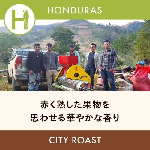 �ۥ󥸥�饹 �֡ڥ��륰���ѡۥ������ǥ��ܥ� �֥�ܥ�� ���ƥ��������� 200g