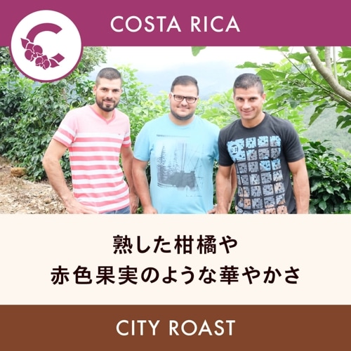 �������ꥫ �֡ڥ顦�����ۥ��롦����ȡ� ���ƥ��������� 200g