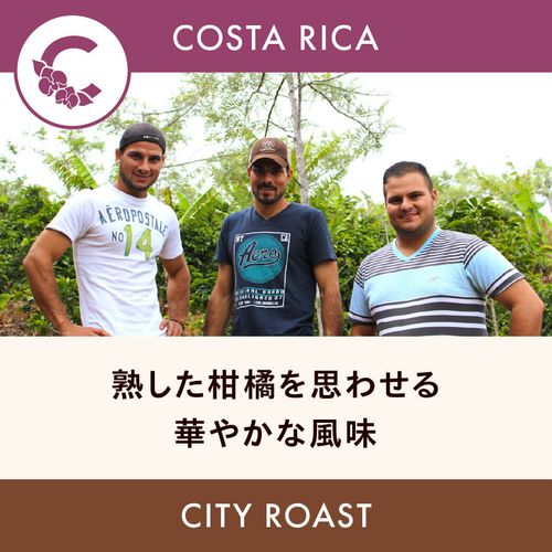 コスタリカ一覧 | HORIGUCHI COFFEE ONLINE STORE