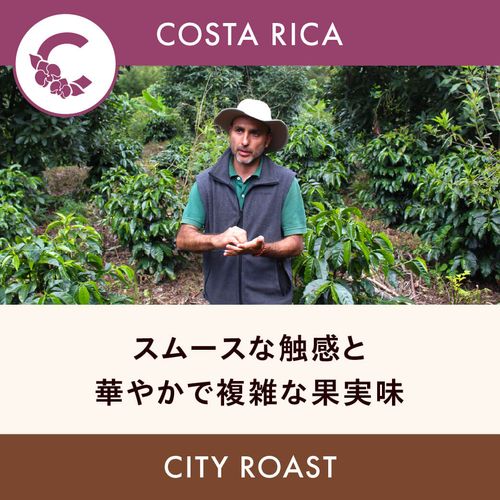 �������ꥫ �֡ڥ��ƥ����ǡ������ۥ��㥵�� ���ȥ������� ���ƥ��������� 200g