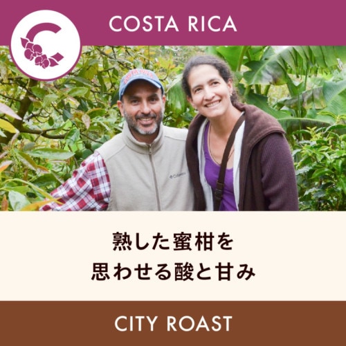 �������ꥫ �֡ڥ��ƥ����ǡ������ۥ��ꥵ�롦����� ���ȥ������� ���ƥ��������� 200g