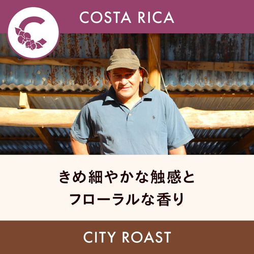 �������ꥫ �֡ڥ���ȥ����ǥ롦���٥ۥʥ�ۥǥ��ӡ��Ρ��ˡ��˥� �ƥ��ԥ��� ���ƥ��������� 200g