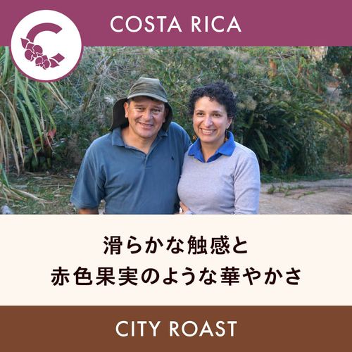 �������ꥫ �֡ڥ���ȥ����ǥ롦���٥ۥʥ�ۥǥ��ӡ��Ρ��ˡ��˥� �ʥ������ ���ƥ��������� 200g