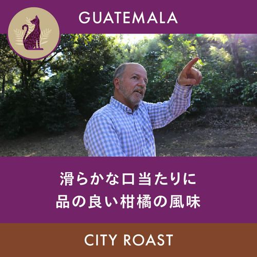 �����ƥޥ� �֥��󥿥����꡼������ �����쥼��С� ���ƥ��������� 200g