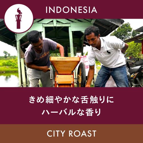 ����ɥͥ��� �֥ޥ�ǥ�� 