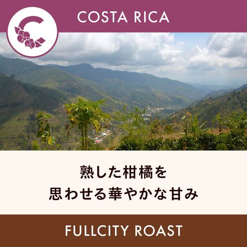 �������ꥫ �֡ڥ��������쥹�ȥͥ��ۥե���㡦���륿�� �ե륷�ƥ��������� 200g