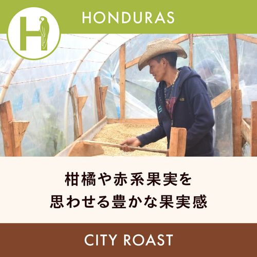�ۥ󥸥�饹 �֡ڥ��㥮�ơۥ��󥳥⡼���� ���ƥ��������� 200g