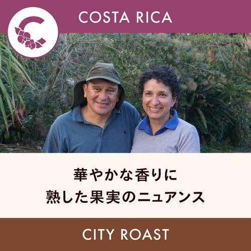 �������ꥫ �֡ڥ���ȥ����ǥ롦���٥ۥʥ�ۥǥ��ӡ��Ρ��ˡ��˥� ���ȥ������� ���ƥ��������� 200g