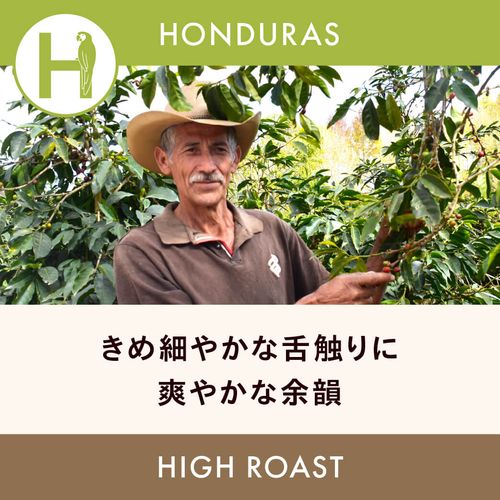 �ۥ󥸥�饹 �֡ڥ��륰���ѡۥ��롦����ݡ� �ϥ��������� 200g