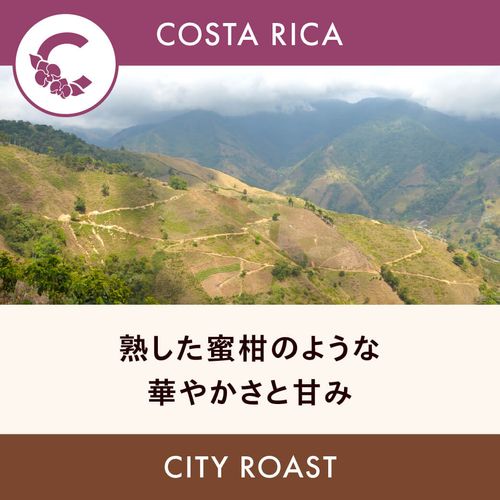 ꥫ ֡ڥ쥹ȥͥۥե㡦륿 ƥ 200g