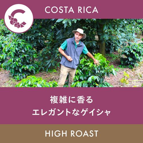 �������ꥫ �֡ڥ��ƥ����ǡ������ۥ��㥵�� ��������� �ϥ��������� 100g