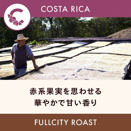 �������ꥫ �֡ڥ���ȥ����ǥ롦���٥ۥʥ�ۥǥ��ӡ��Ρ��ˡ��˥� �ʥ������ �ե륷�ƥ��������� 200g