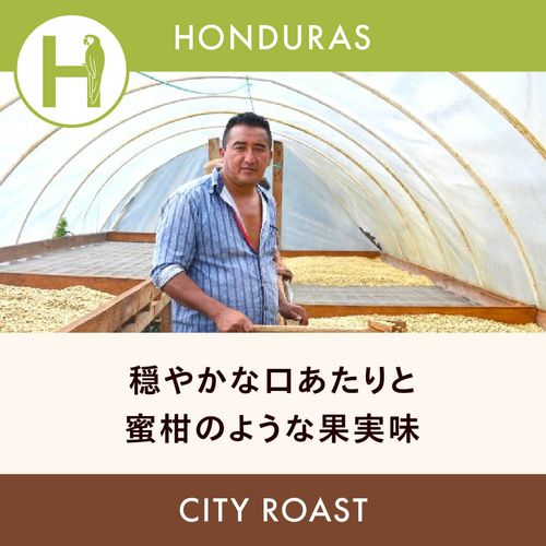 �ۥ󥸥�饹 �֡ڥ��륰���ѡۥ������ۥ�� ���ƥ��������� 200g