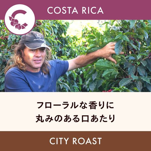 �������ꥫ �֡ڥ��󥿥ƥ쥵�ۥ��󥿥ƥ쥵2000 �ƥ��ԥ� ��åɥϥˡ��� ���ƥ��������� 200g