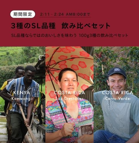 �ڥ���饤������SL�ʼ������٥��å� 100g��3��