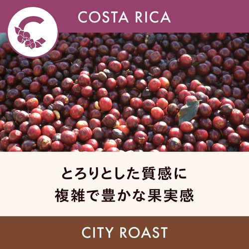 �������ꥫ �֡ڥ������٥�ǡۥ��󡦥ե�󥷥��� SL28�� ���ƥ��������� 200g