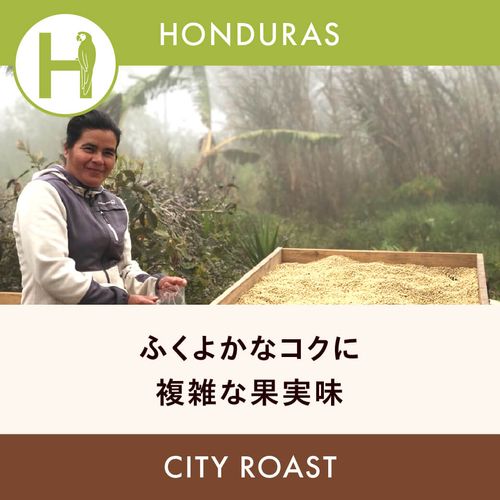 �ۥ󥸥�饹 �֡ڥ��󥻥Х��ƥ�����ۥѥȥꥷ���� ���ƥ��������� 200g