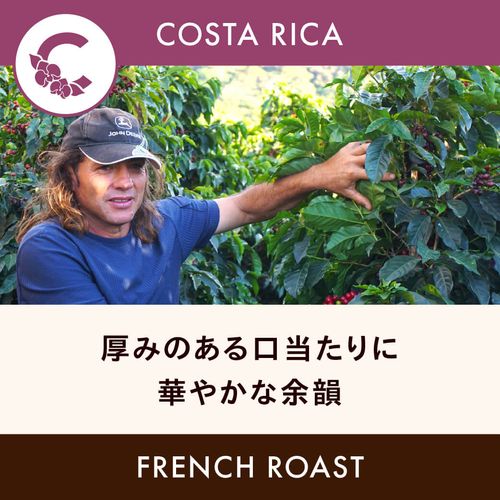 �������ꥫ �֡ڥ��󥿥ƥ쥵�ۥ��󥿥ƥ쥵2000 �ƥ��ԥ� ��åɥϥˡ��� �ե����������� 200g