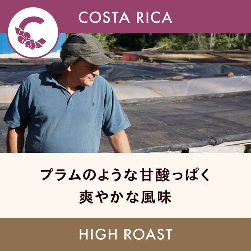 コスタリカ一覧 | HORIGUCHI COFFEE ONLINE STORE