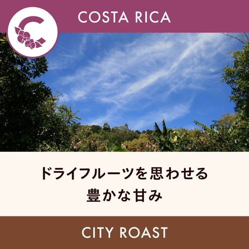 �������ꥫ �֡ڥ���ȥ����ǥ롦���٥ۥʥ�ۥǥ��ӡ��Ρ��ˡ��˥� ���ȥ����� ��åɥϥˡ��� ���ƥ��������� 200g