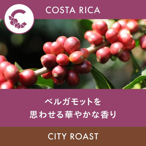 �������ꥫ �֡ڥץ���ơ����饹�ۥ���ޥ�ƥ��� ��������� ���ƥ��������� 100g