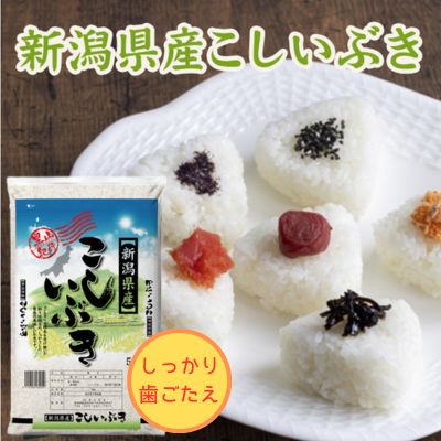 【令和7年産】<br>新潟県産　こしいぶき　5kg