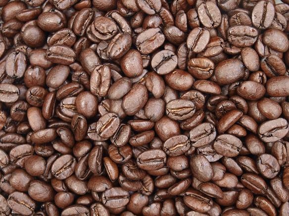 ブラジル ハチドリ 袋/100g~500g