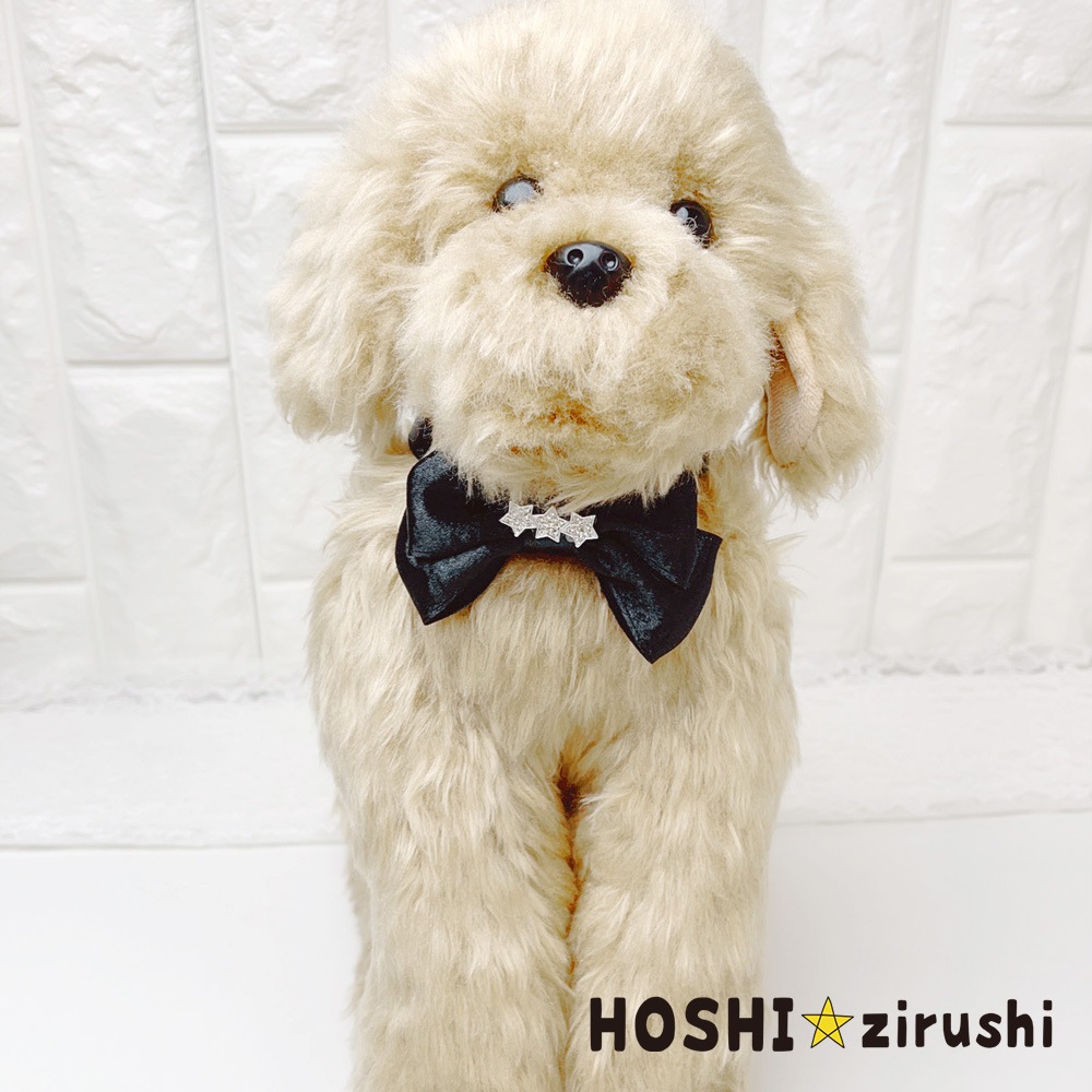 ラグジュアリーメタリックチョーカー【20個入り】 Pet choker Dog