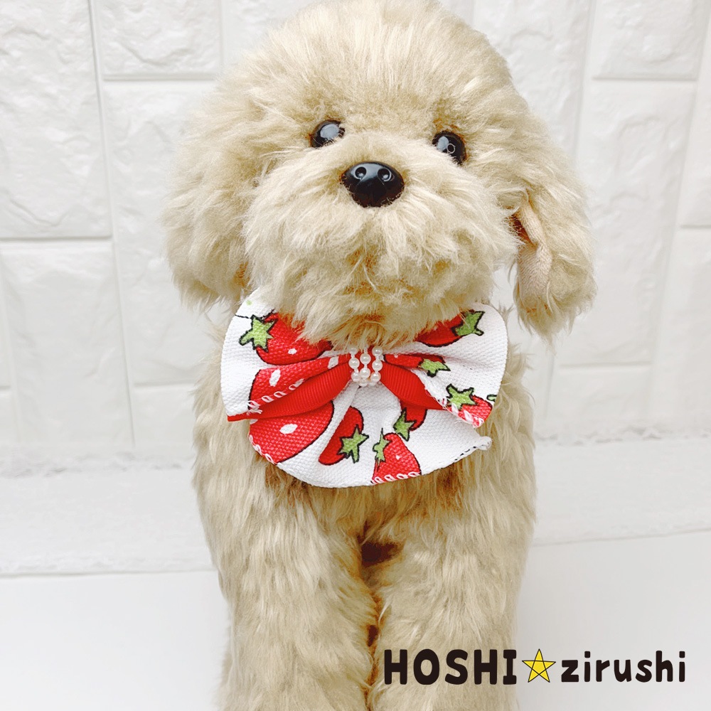 シトラスガーデンチョーカー【20個入り】 Pet choker Dog collar Pet