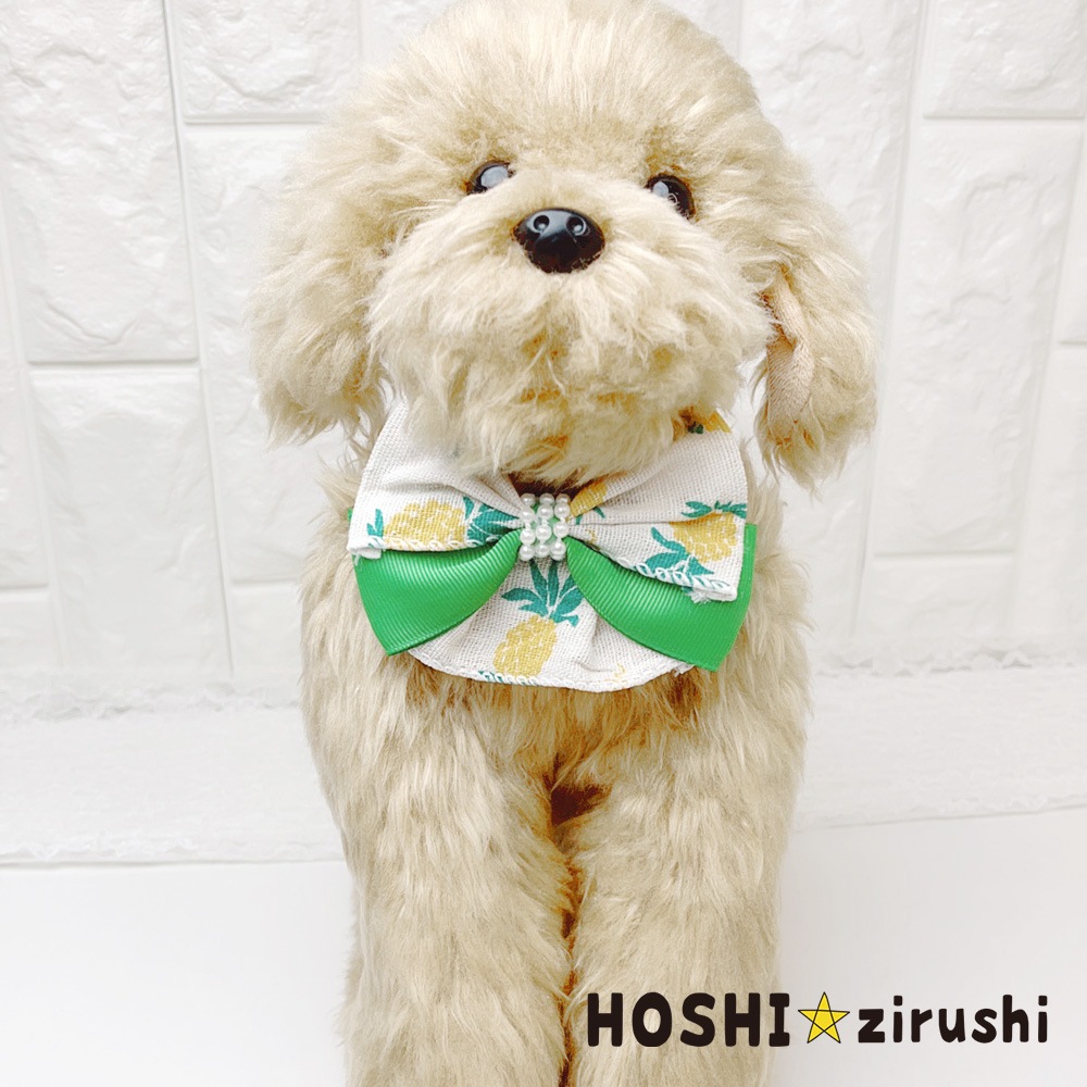 シトラスガーデンチョーカー【20個入り】 Pet choker Dog collar Pet