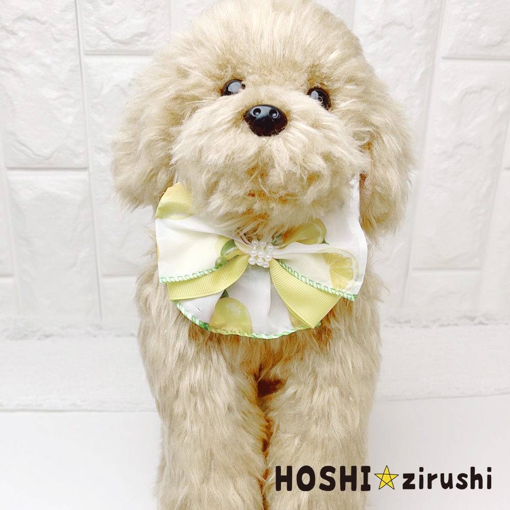 シトラスガーデンチョーカー【20個入り】 Pet choker Dog collar Pet