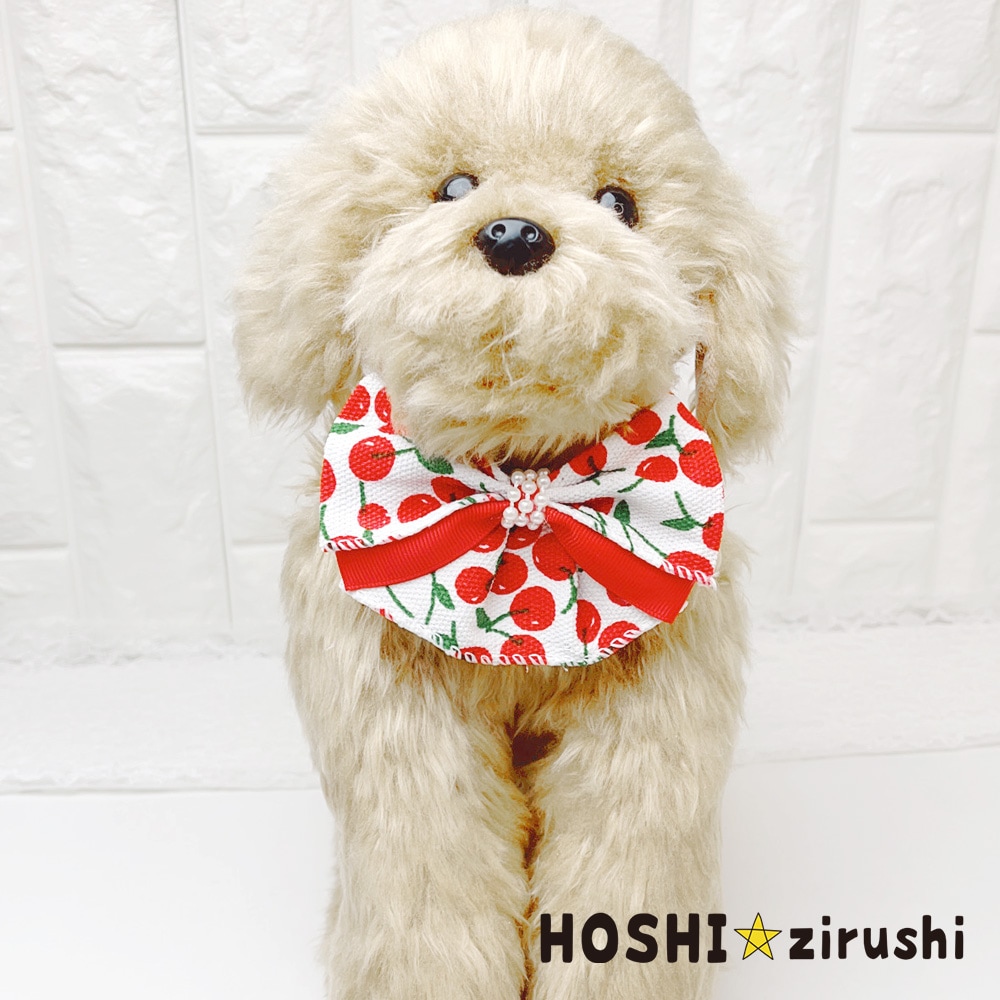 シトラスガーデンチョーカー【20個入り】 Pet choker Dog collar Pet