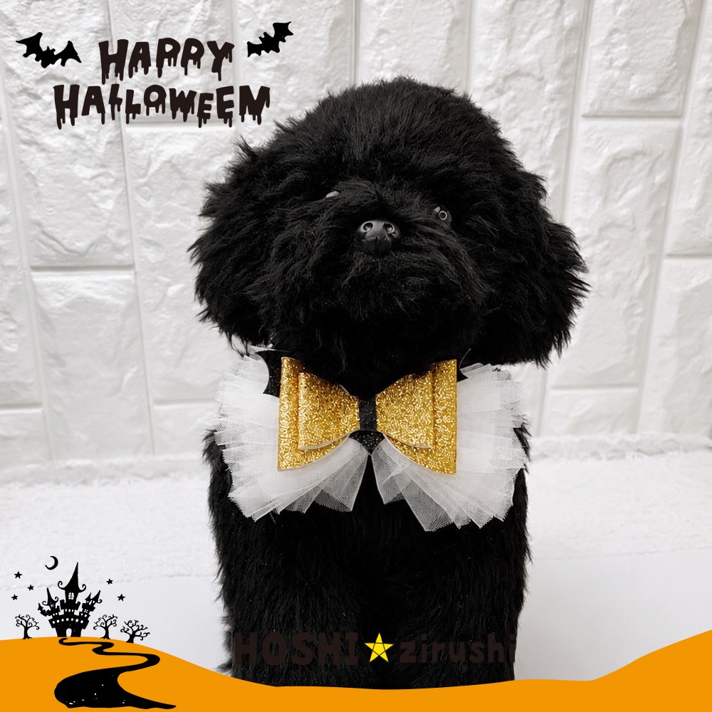 魔法のハロウィンチョーカー【20個入り】