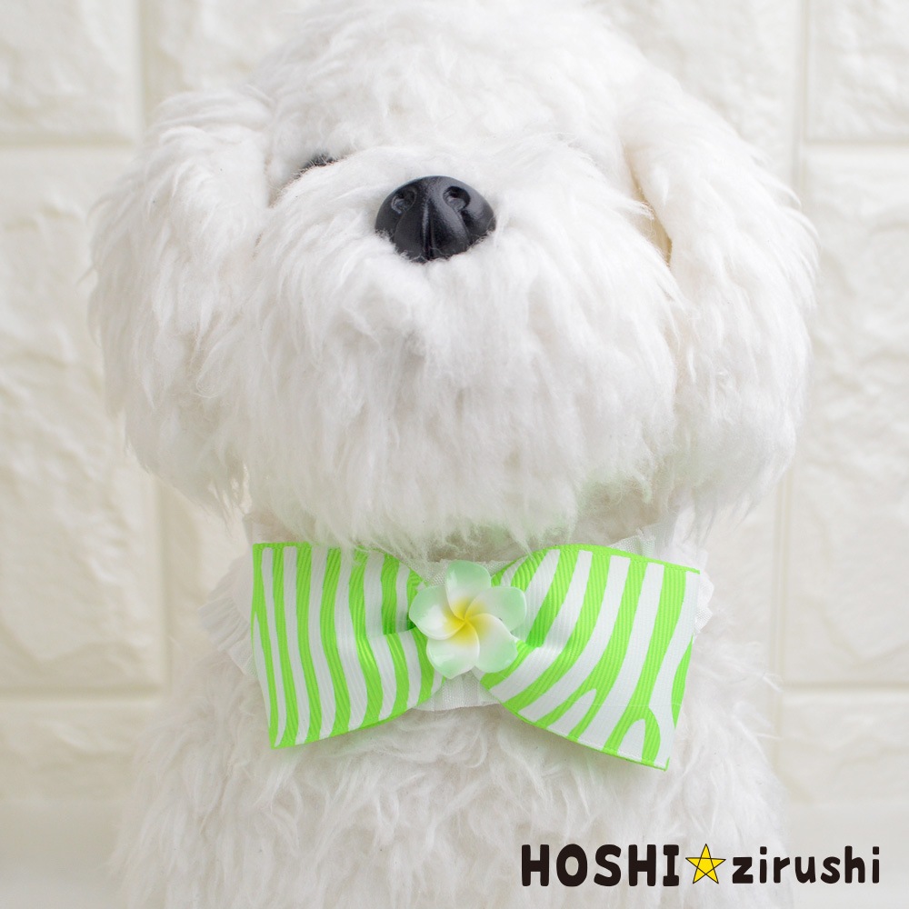お花付ゼブラチョーカー【20個入り】 Pet choker Dog collar Pet ribbon Pet accessories
