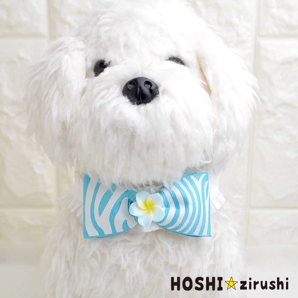 お花付ゼブラチョーカー【20個入り】 Pet choker Dog collar Pet
