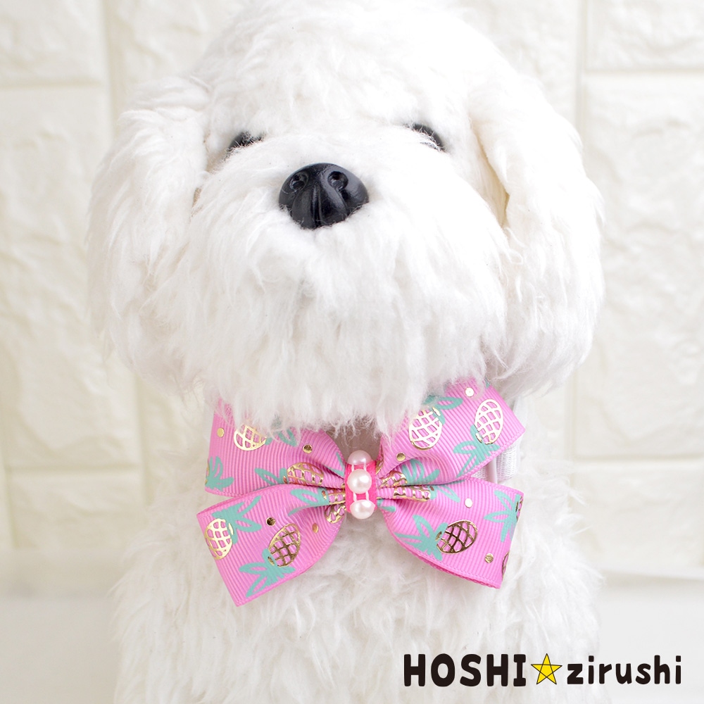 トリミングチョーカー　banded 激かわハロウィンチョーカー【20個入り】 Pet choker Dog collar