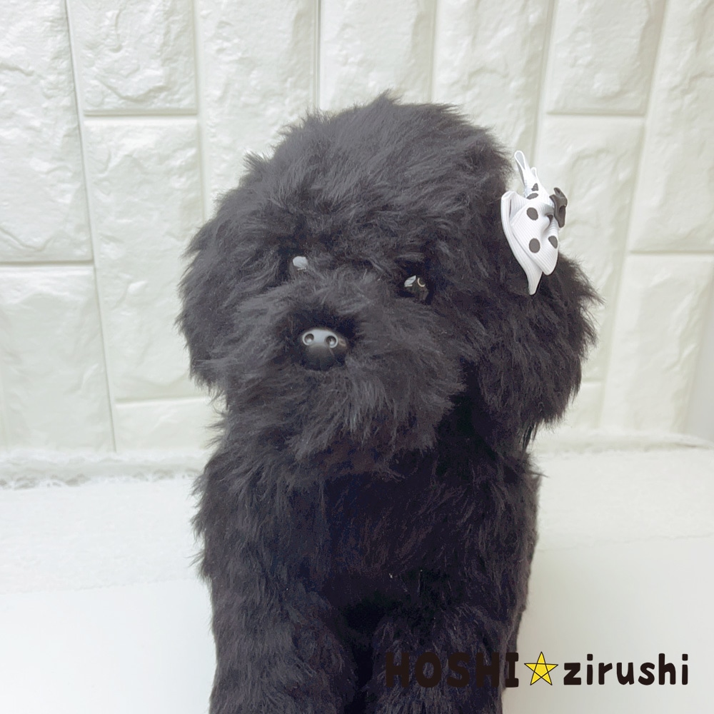 ポップドットリボン【20個入り】Pet choker Dog collar Pet ribbon Pet accessories