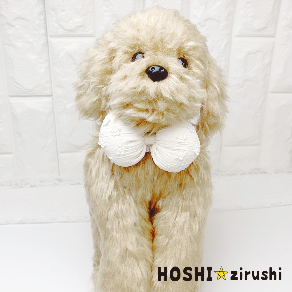 ふわころフラワーチョーカー【20個入り】 Pet choker Dog collar Pet ribbon Pet accessories