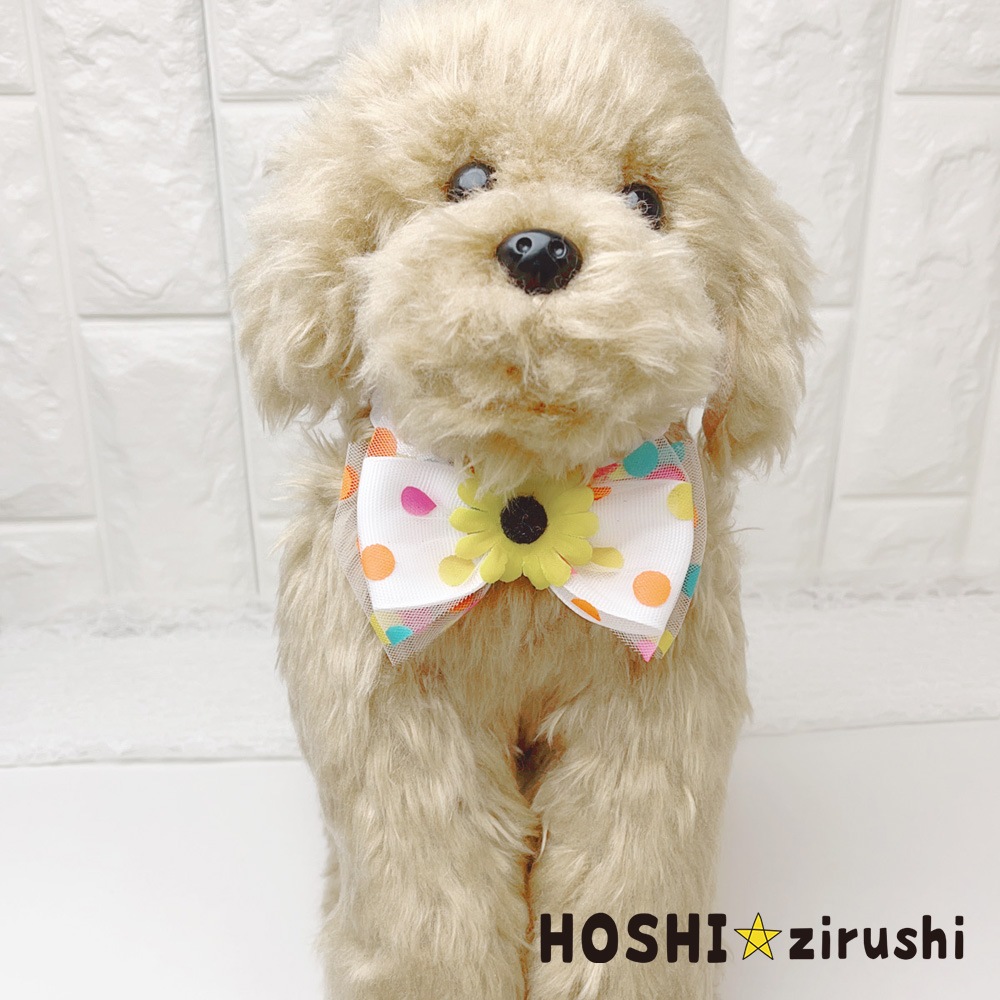 ひまわりの水玉チョーカー【20個入り】 Pet choker Dog collar Pet