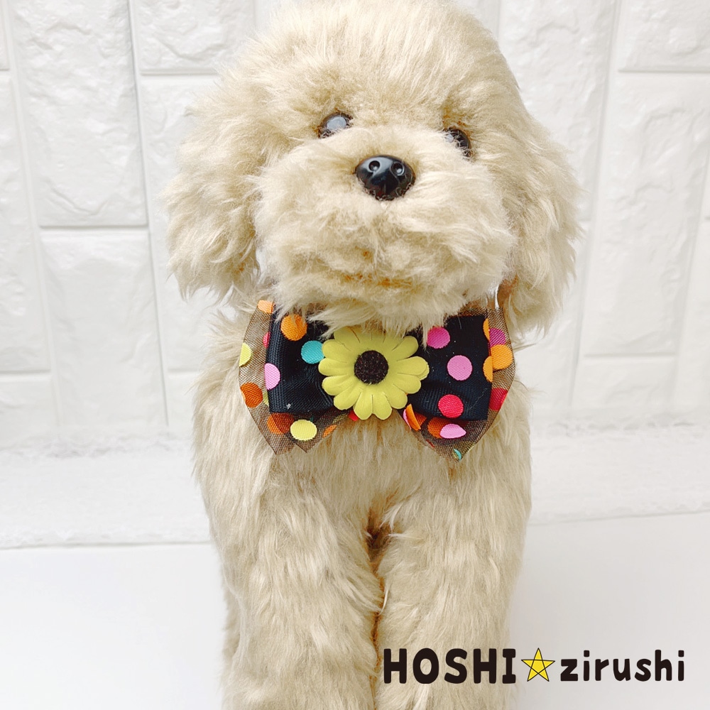 ひまわりの水玉チョーカー【20個入り】 Pet choker Dog collar Pet