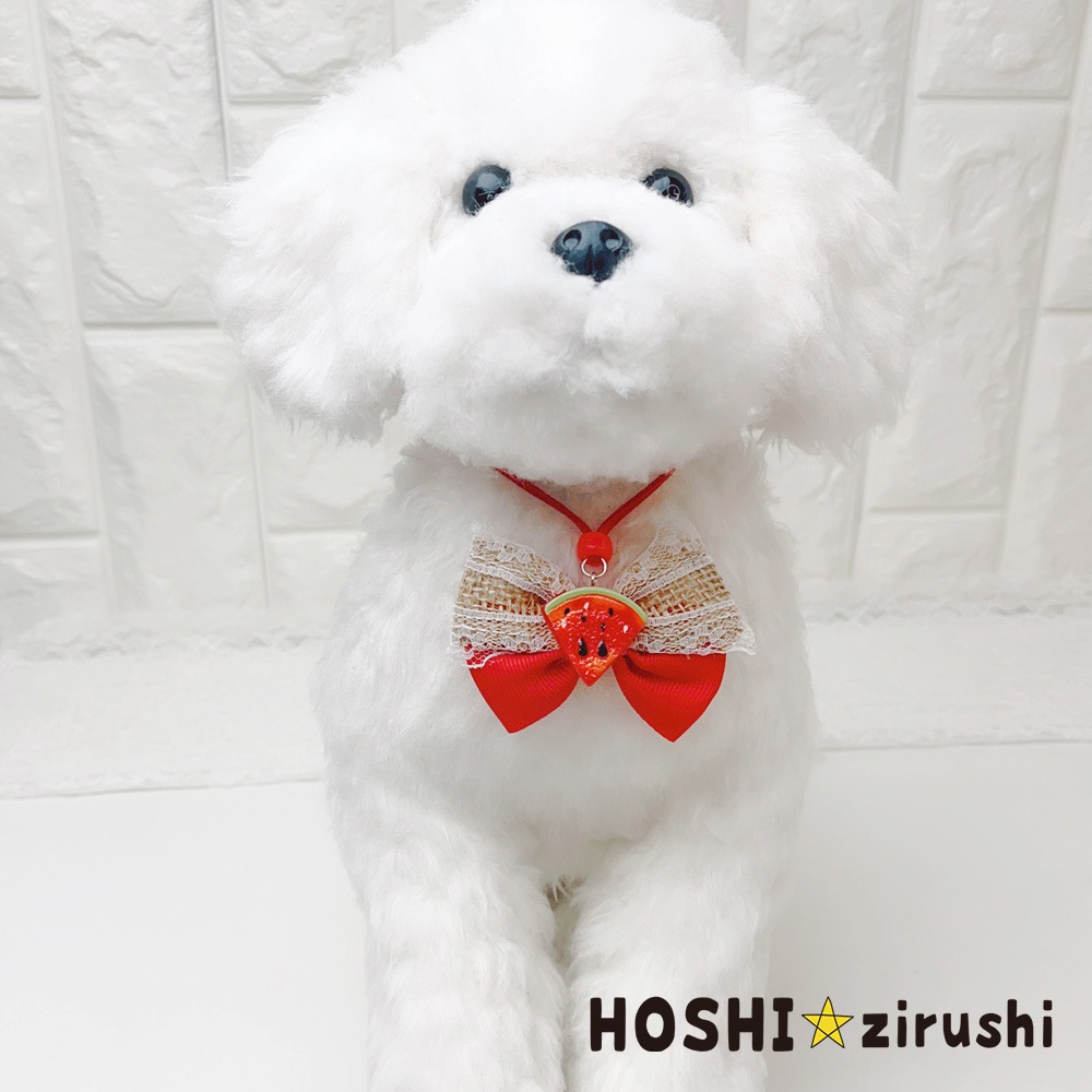 ビタミンフルーツペンダント【20個入り】 Pet choker Dog collar Pet