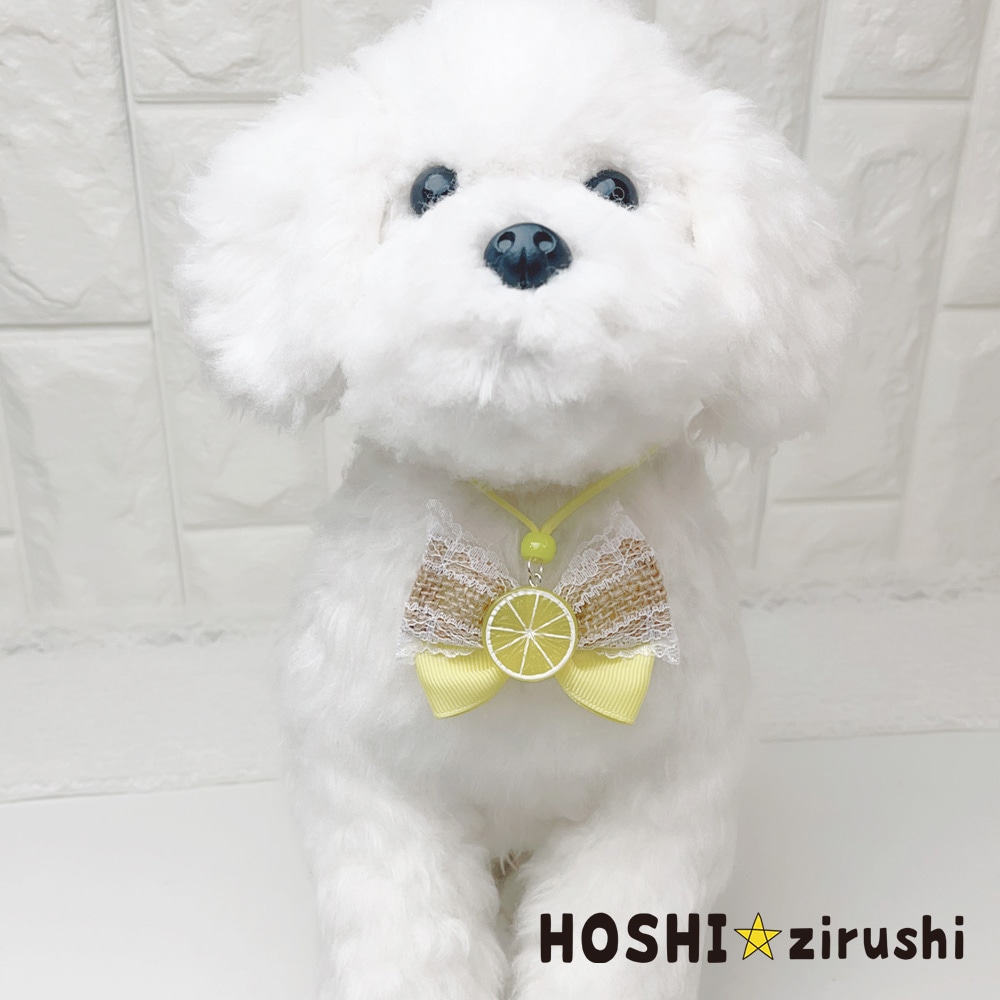 ビタミンフルーツペンダント【20個入り】 Pet choker Dog collar Pet