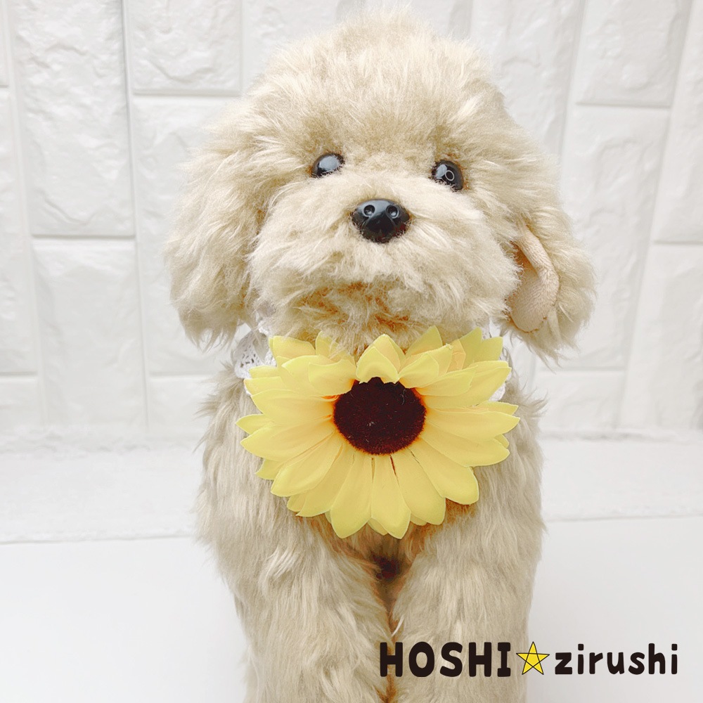 ひまわりとレースの韓国風チョーカー【10個入り】 Pet choker Dog