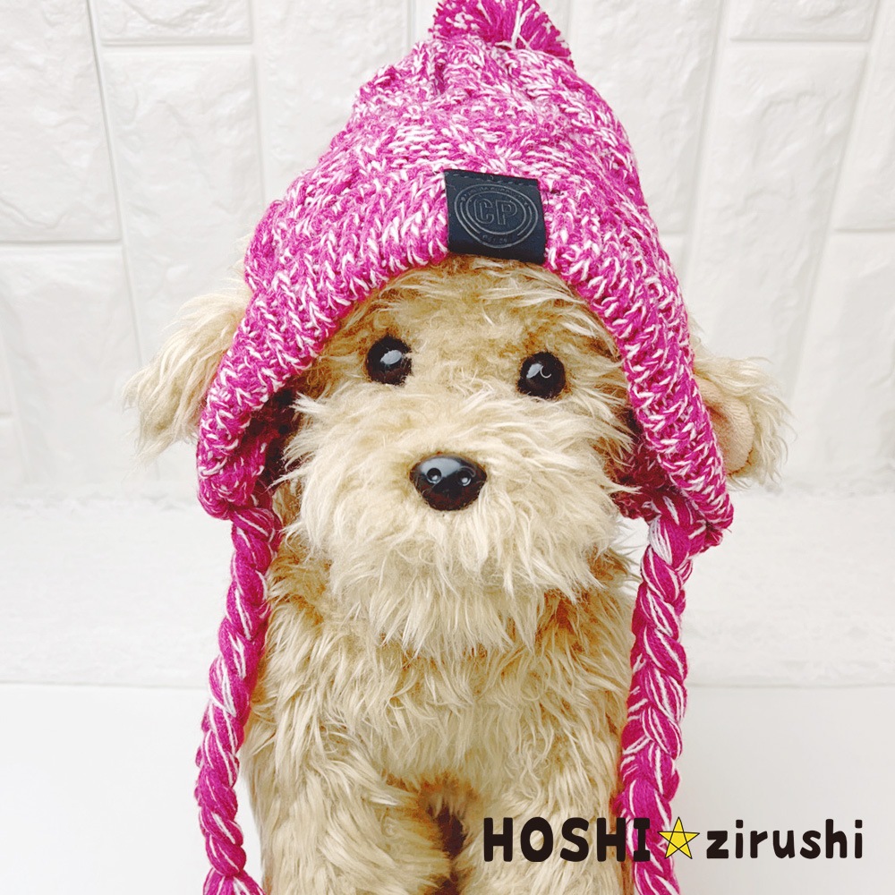 イヤーニットキャップ（2枚組）Pet choker Dog collar Pet ribbon Pet accessories