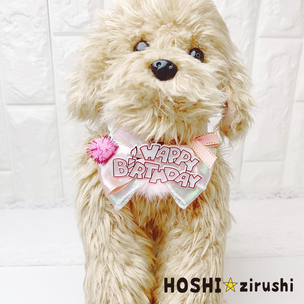 ぼんぼりのお誕生日チョーカー【20個入り】 Pet choker Dog collar Pet ribbon Pet accessories