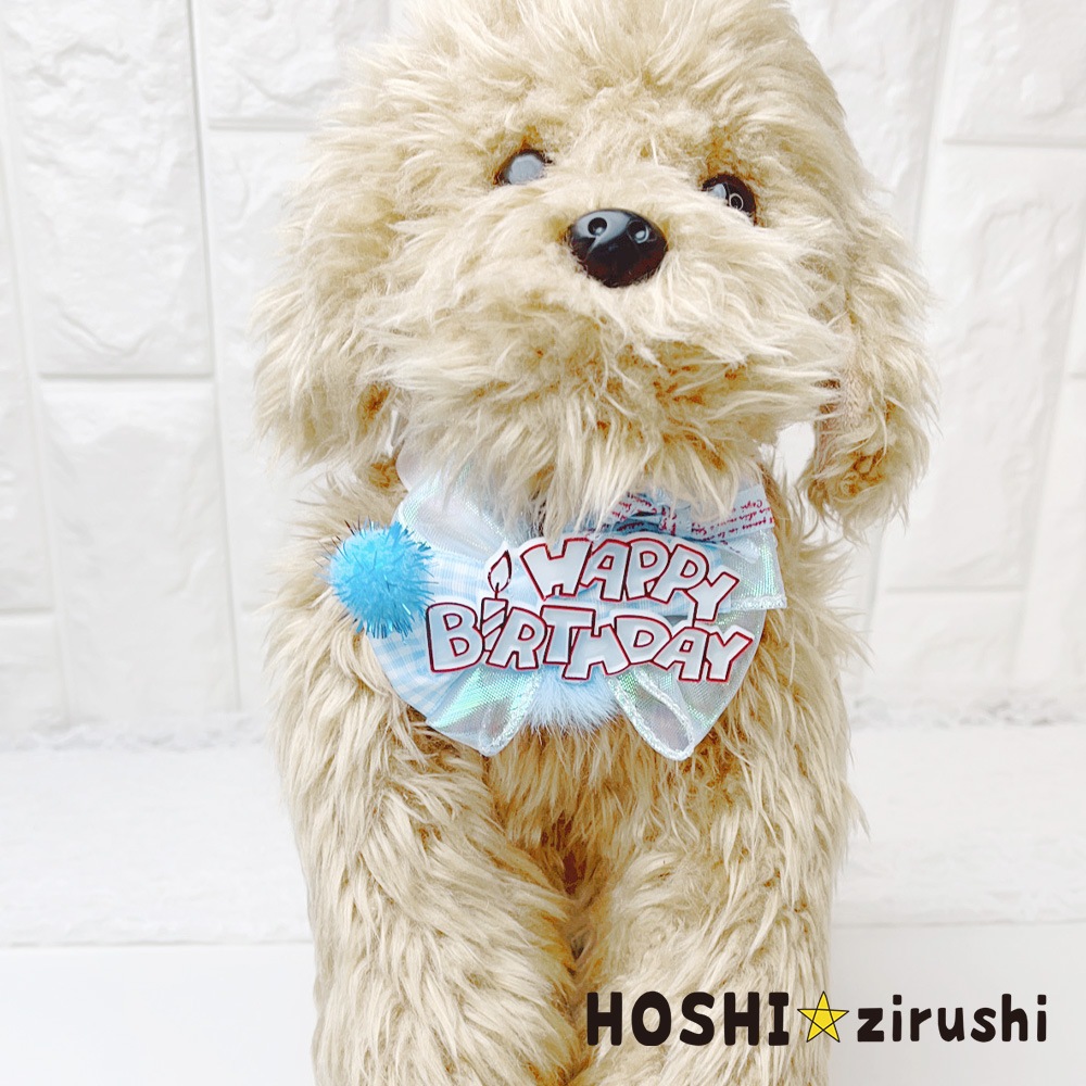ぼんぼりのお誕生日チョーカー【20個入り】 Pet choker Dog collar Pet ribbon Pet accessories