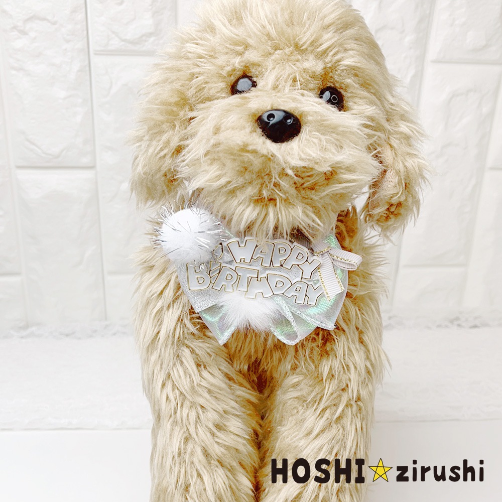 ぼんぼりのお誕生日チョーカー【20個入り】 Pet choker Dog collar Pet ribbon Pet accessories