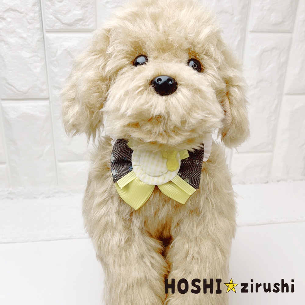 小さな帽子屋さんセットチョーカー【20個入り】 Pet choker Dog collar