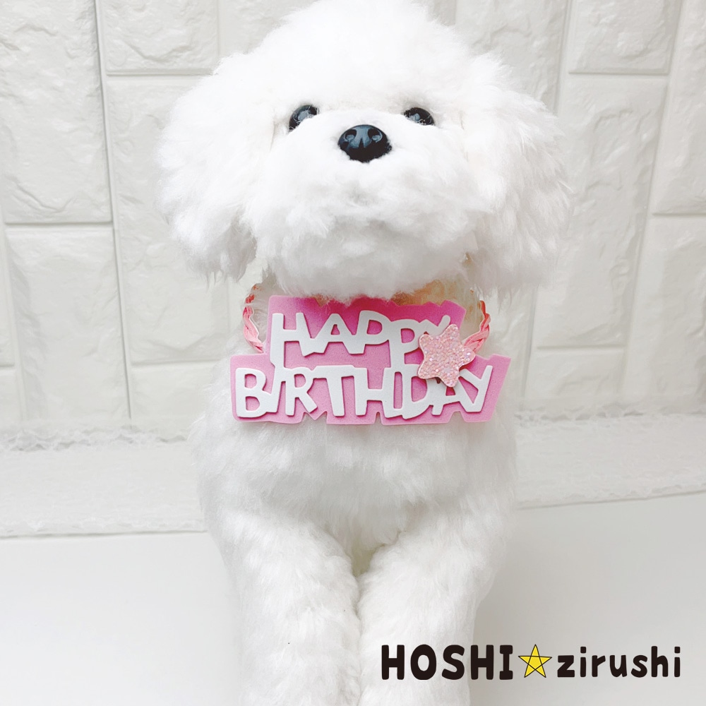 ハッピーバースデー三つ編みチョーカー（20枚入） Pet choker Dog