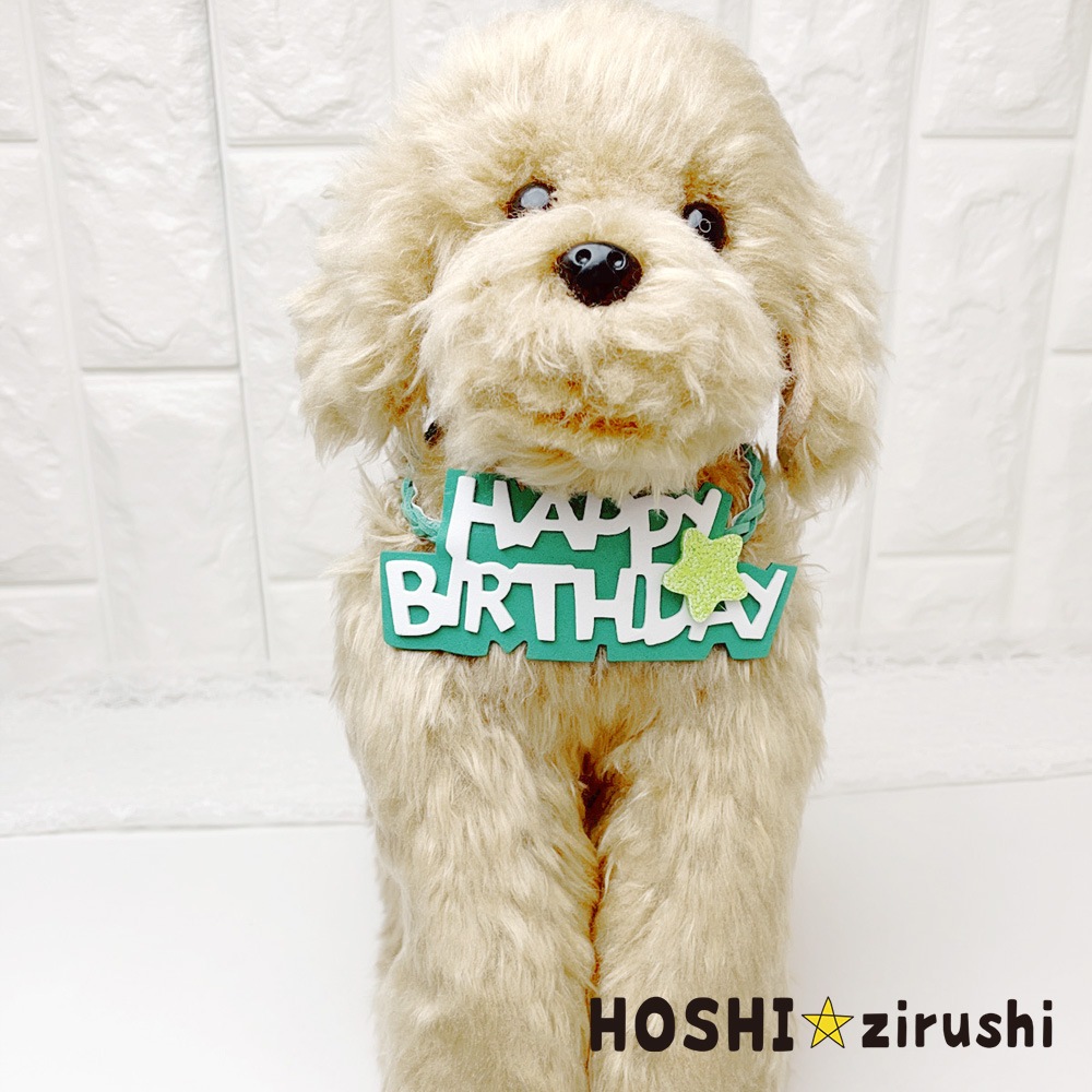 ハッピーバースデー三つ編みチョーカー（20枚入） Pet choker Dog